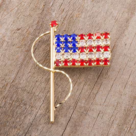 Patriotic Allegiance to the Flag Brooch